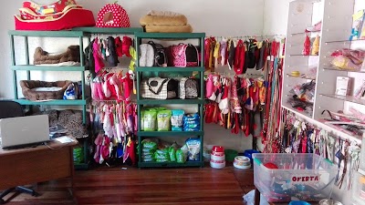 Photos of Dog Grooming Pichos