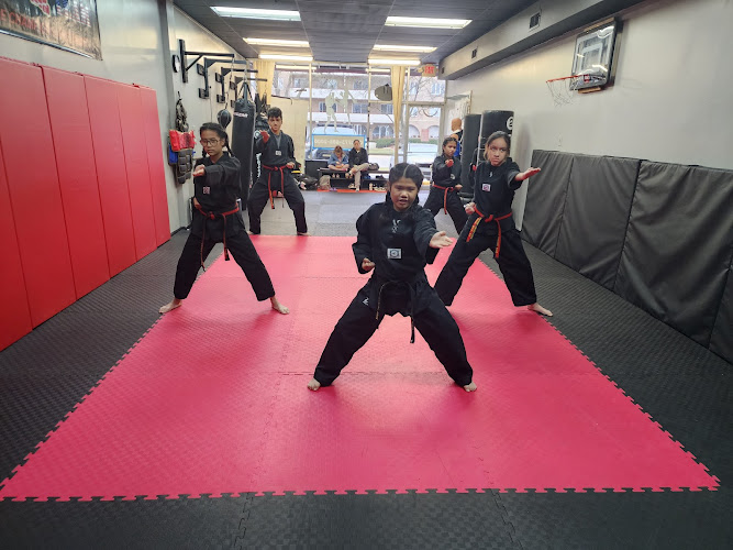 Stagens Martial Arts - muay thai in Lincolnwood, Illinois