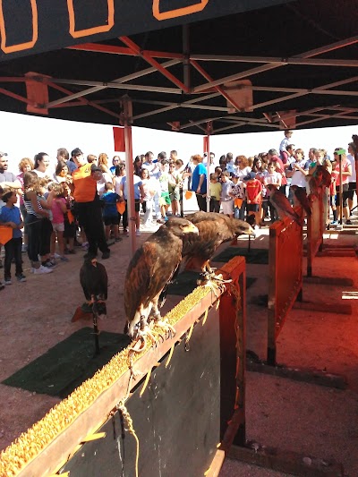 Photos of Tourist Office of Campo de Criptana