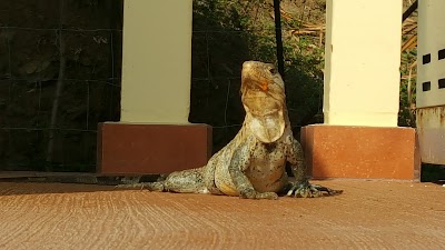 Photos of Villa Ventanas