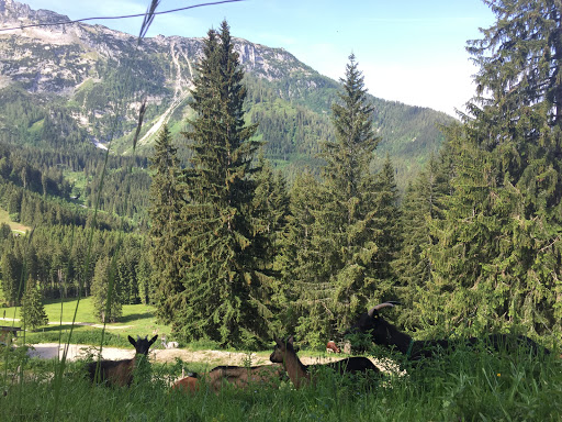 Ofnerboden - Visual