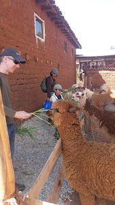 Andean Colors 4