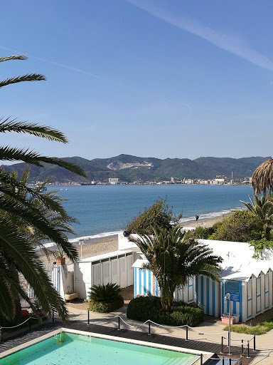 Ariston Mare - Visual