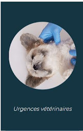 Photo n°4 de Clinique Vétérinaire Les Lions - Dr LEGLAIVE et Dr CARTERON à Viarmes (Vétérinaire)