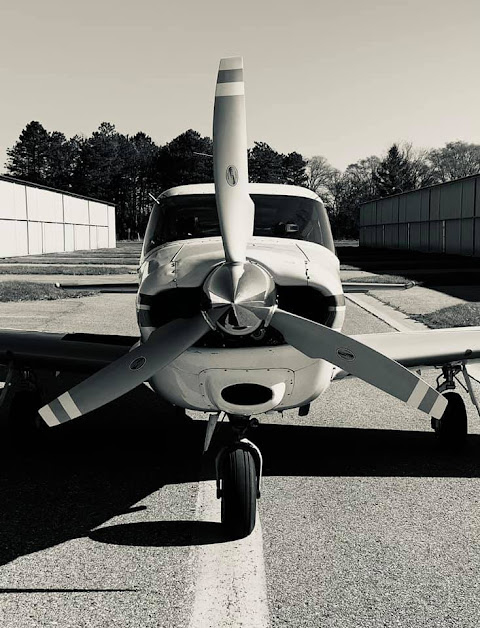 Sky Flight Avionics by null