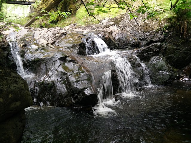 Brodick Castle, Garden and Country Park