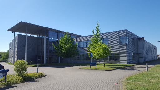 Locema GmbH - Thumbnail