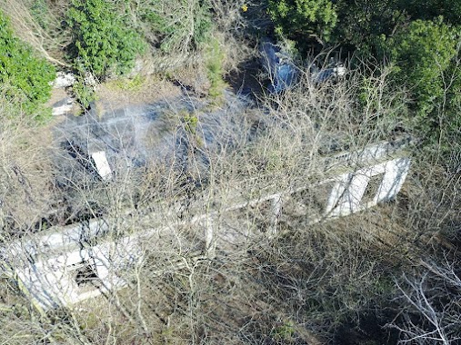 Palacio en el bosque, Author: Hebert Coello