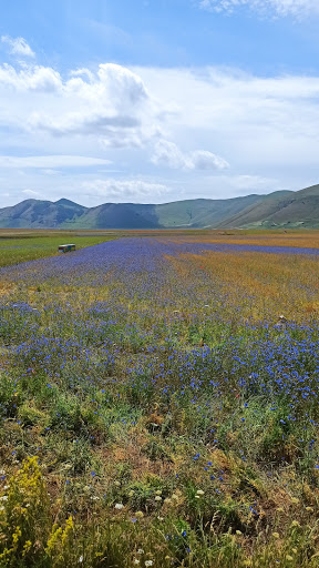 Punto Fotografico di Castelluccio di Norcia - Thumbnail