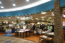 Shonan Mall Fill, Fujisawa, Japan