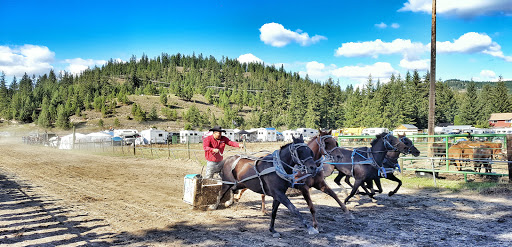 North Thompson Fall Fair Rodeo & Agriplex - Thumbnail