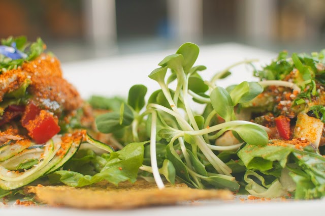 Rawtopia Living Cuisine and Beyond