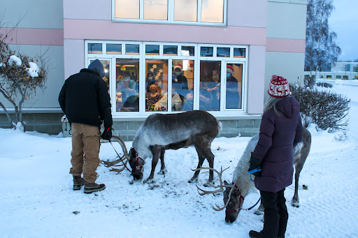 Denali Center - Visual