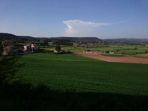 AGRO COMERCIAL CLARAMUNT S.L. Gallery - Spain