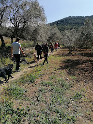 Photo n°2 de Ecole du chien - Saint Cyr sur Mer à Saint-Cyr-sur-Mer (Dresseur pour chiens)