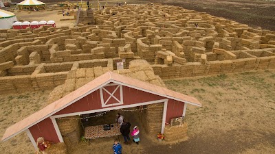 Bozeman Maze