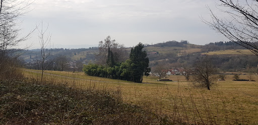 Der St. Gallus Rundweg, und Panoramaweg Malterdingen startpunkt, und parkplatz - Thumbnail
