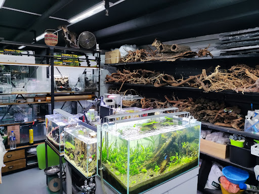 Aquatic Pond Services and Trading - Thumbnail