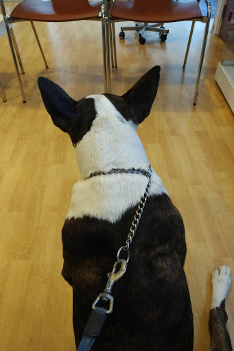 Dierenkliniek Waalre