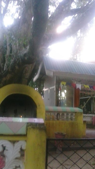 Photos of Purana Bodhi Rukkarama Temple