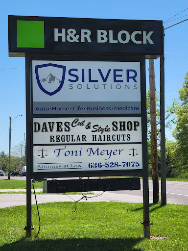 Silver Solutions - Visual