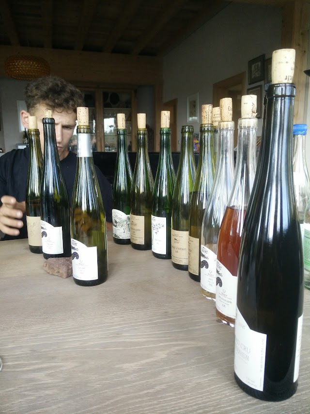 Lissner - Vins d'Alsace libres, sauvages et bio