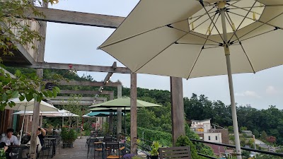 Photos of 춘천러빙헛