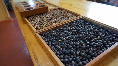 Photos of Caf&eacute; de Monteverde