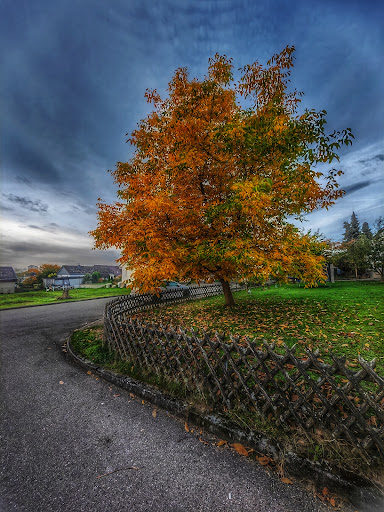 Oberjesingen Calwer Straße - Herrenberg - Thumbnail