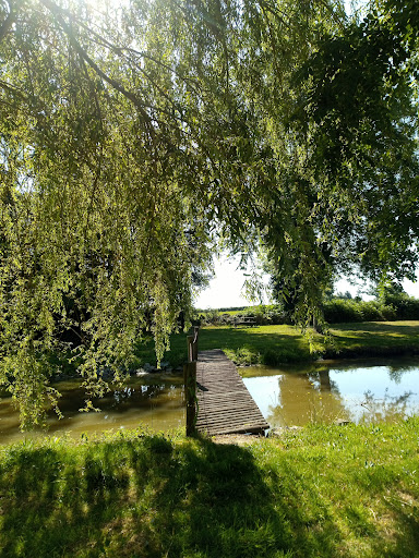 LE CRISTAL