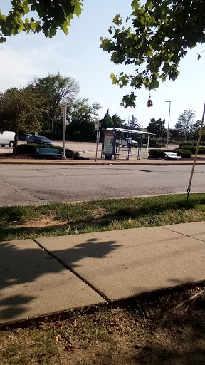 Wellston - Visual