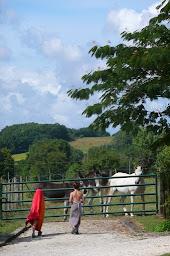 Photo n°24 de Gîtes à la Ferme de Lauzanac à Eymet (Logement meublé)