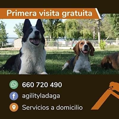 Hotel para perros La Daga Educació i Residencia Canina