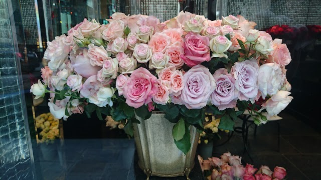 Roses Costes