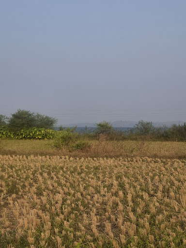 Why Igatpuri?	Why invest in Igatpuri farmland? 1) Scenic 2) Water secure 3) High appreciation pot… post image