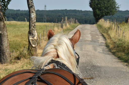 HAUT DOUBS SABOTS