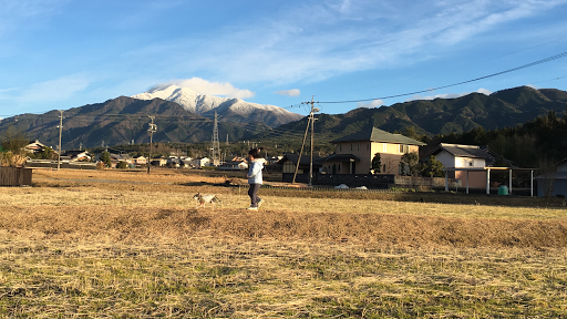 りようてん市川