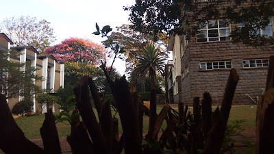 Photos of St. Mary's School