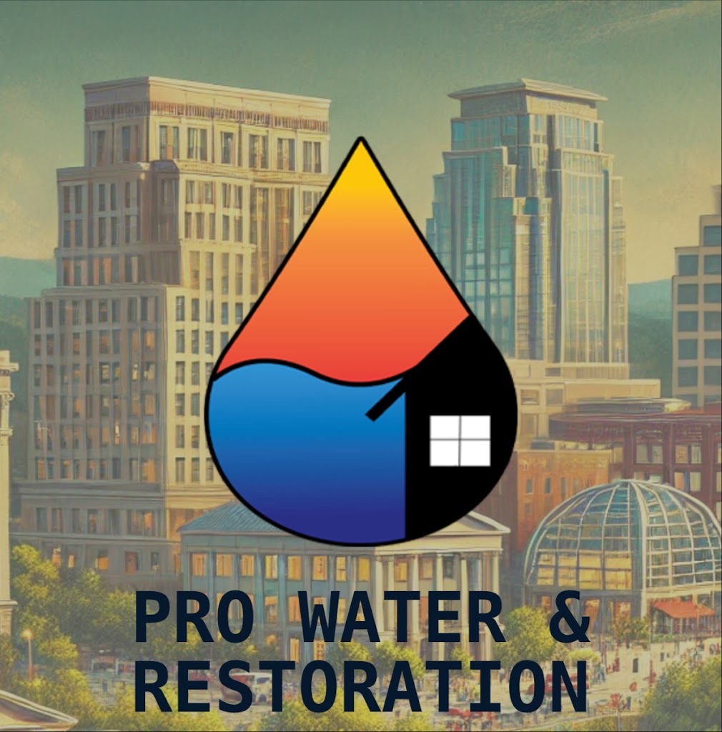 PRO WATER & RESTORATION of Greenville photo