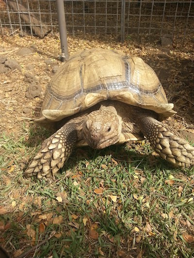 Three Ring Ranch Exotic Animal Sanctuary