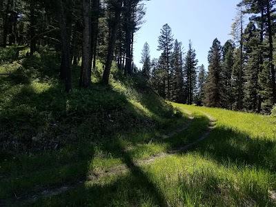 Moser Creek Trailhead