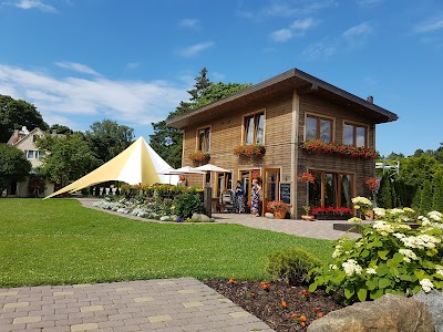 Photos of Guest House and camping Jurmala