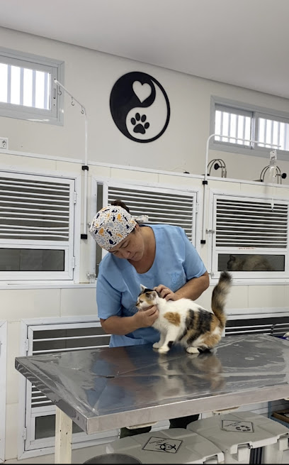 Belas Artes Clínica Veterinária
