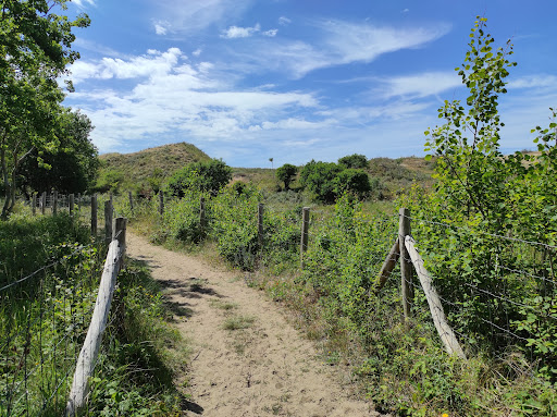 Sentier des Fauvettes - Thumbnail