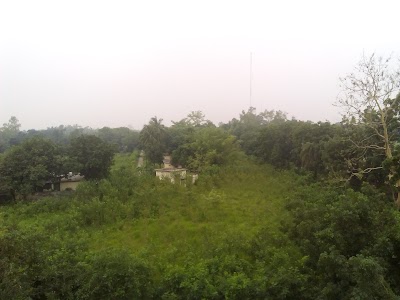 Photos of District Sericulture Extension Office