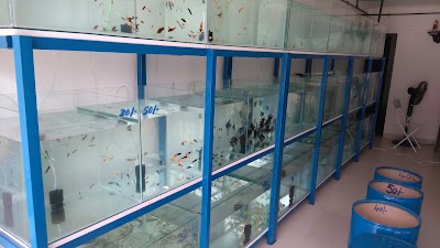 Photos of Teo Aquarium