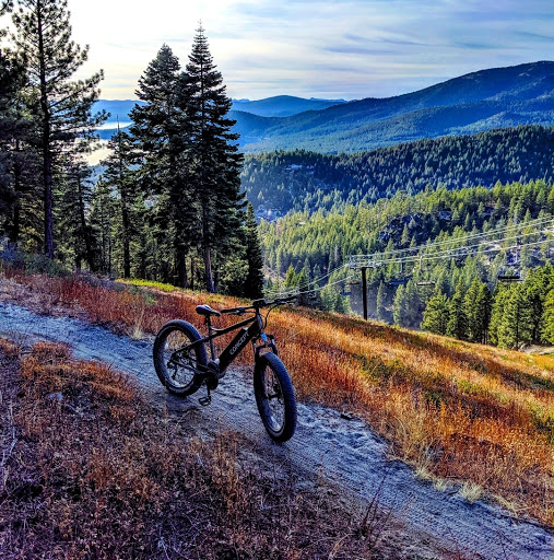 Concept Electric Bikes - Thumbnail