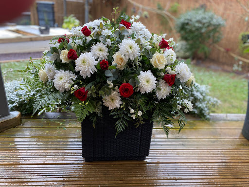 Flowerday - Flower Creation by Hillena - Thumbnail