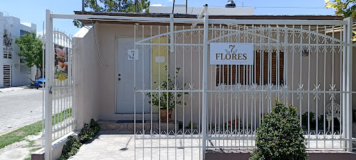 7 Flores masajes