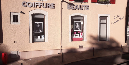 Cécile Thomas-Bibal "Coiffure Michel" - Thumbnail